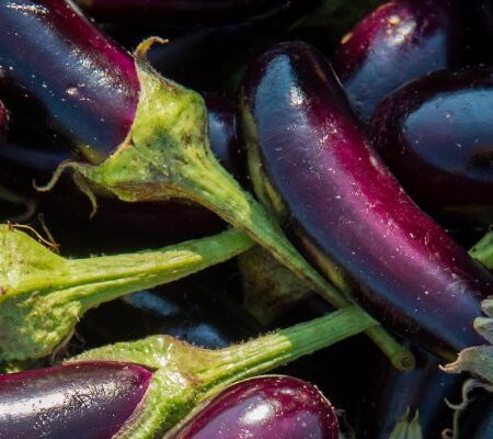 Eggplant