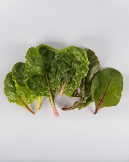 Rainbow Swiss Chard Bunch