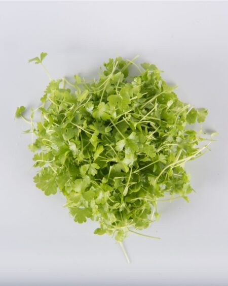 Micro Celery