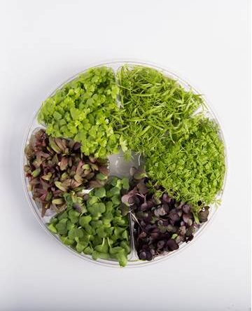 Root Crop™ Blend Small Bites