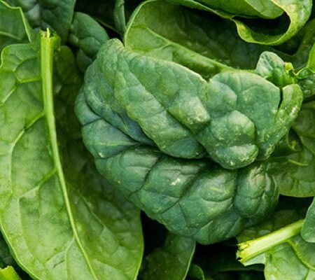 Greens