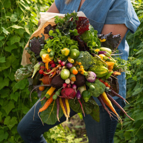 Vegetable Bouquet