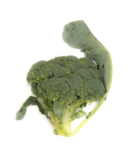 Broccoli