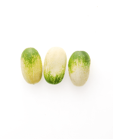 Quirk Cucumber