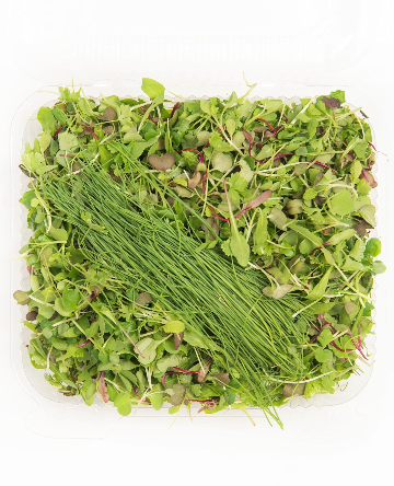 Superfood Blend