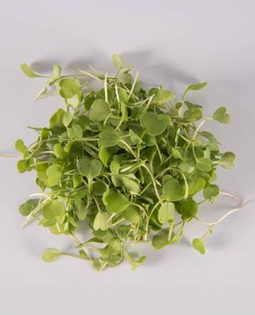 Micro Arugula