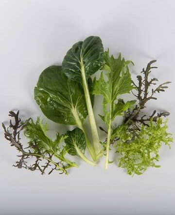 Asian Greens